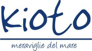 Carissima Orecchini A Perno In Oro Bianco 9ct 5 Mm Lucidi – Gioielli Eleganti In Confezione Regalo