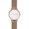 Orologio Solo Tempo Donna Skagen Signatur Slim 2 Verre Gioielli - l'istituzione del gioiello