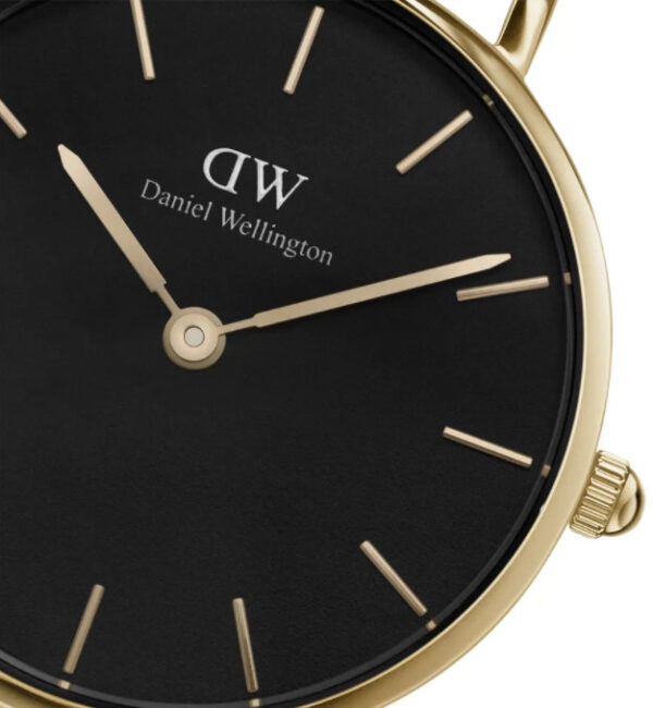 Orologio Daniel Wellington Donna Petite Evergold In Acciaio 1 Verre Gioielli - l'istituzione del gioiello