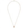 Collana Donna Daniel Wellington Elevation In Acciaio Rosato 1 Verre Gioielli - l'istituzione del gioiello