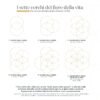 Orecchini Donna Fiore Della Vita Amen In Argento 925 E Zirconi Bianchi 5 - Verre Gioielli Orecchini Donna Fiore Della Vita Amen In Argento 925 E Zirconi Bianchi 1 Verre Gioielli - l'istituzione del gioiello