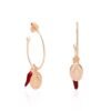 Orecchini Donna Stroili Rosario In Argento 925 Rosato Con Cornetto E Madonna 7 - Verre Gioielli Orecchini Donna Stroili Rosario In Argento 925 Rosato Con Cornetto E Madonna 3 Verre Gioielli - l'istituzione del gioiello