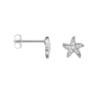 Orecchini Donna Stroili In Argento Con Zirconi A Stella Marina 5 - Verre Gioielli Orecchini Donna Stroili In Argento Con Zirconi A Stella Marina 1 Verre Gioielli - l'istituzione del gioiello