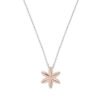 Collana Donna Amen In Argento 925 Bicolore Con Fiore Della Vita Pendente E Zirconi Bianchi