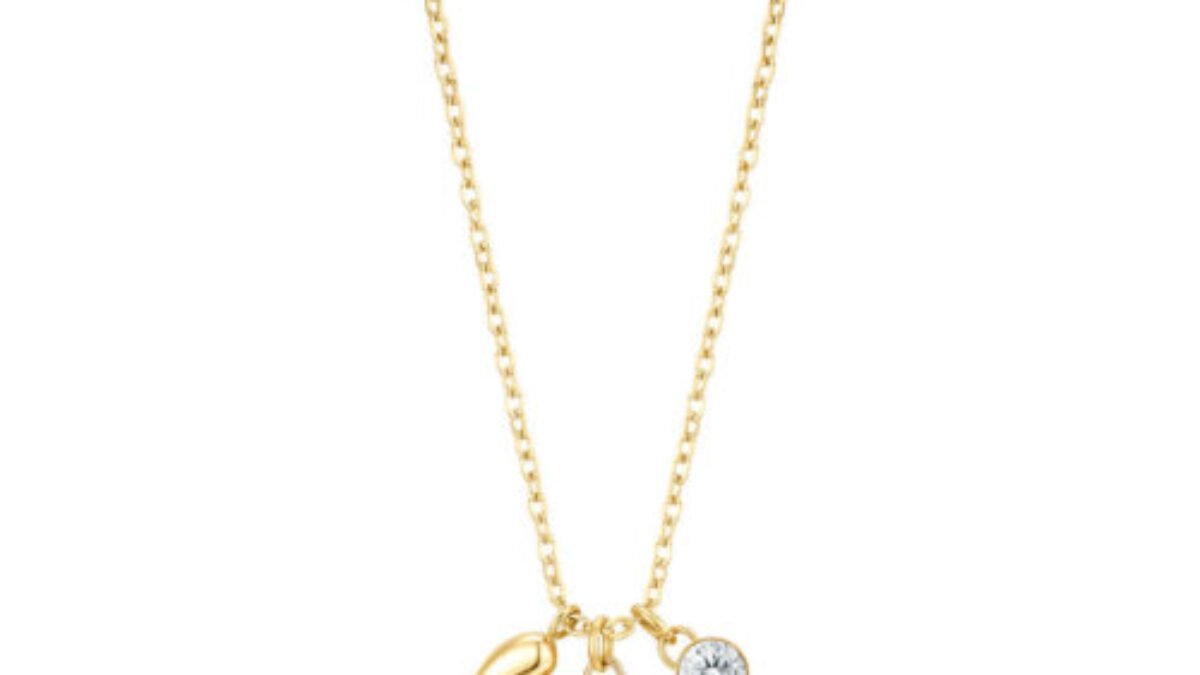 Collana BROSWAY Chakra Mistici in acciaio 316L e Fiore di Loto BHKN
