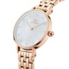 Orologio Donna Daniel Wellington Petite Lumine 5 Link In Acciaio Rosato 1 Verre Gioielli - l'istituzione del gioiello