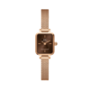 Orologio Donna Daniel Wellington Quadro Mini Evergold Amber In Acciaio Dorato