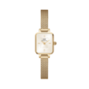 Orologio Donna Daniel Wellington Quadro Mini Evergold Champagne In Acciaio Dorato