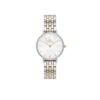 Orologio Donna Daniel Wellington In Acciaio Bicolore E Zirconi Bianchi Petite Lumine Bezel