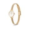 Orologio Donna Daniel Wellington In Acciaio Dorato E Pvd Oro Giallo Petite Mini Evergold 4 Verre Gioielli - l'istituzione del gioiello
