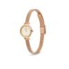Orologio Donna Daniel Wellington In Acciaio Rosato E Pvd Oro Rosa Petite Mini Champagne Melrose 4 Verre Gioielli - l'istituzione del gioiello