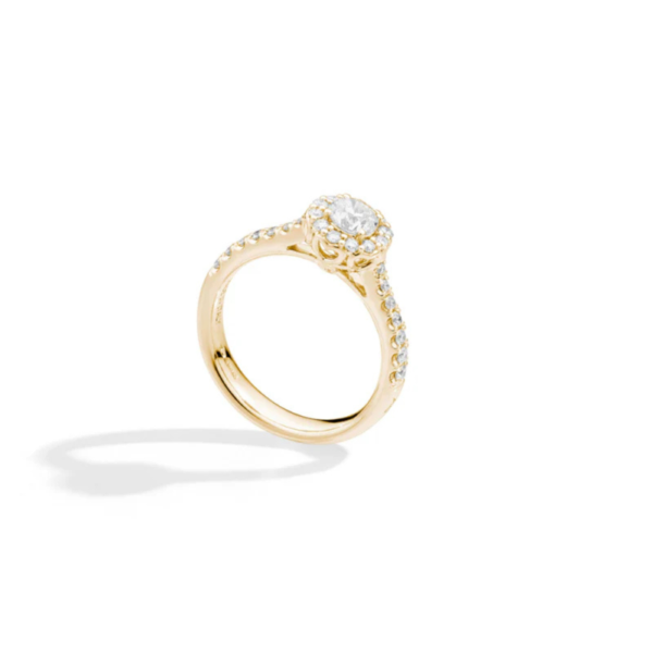 Anello Donna Solitario Recarlo In Oro Giallo 18 Kt Con Diamanti 0.55 Ct E Pavè Anniversary Halo 1 Verre Gioielli - l'istituzione del gioiello