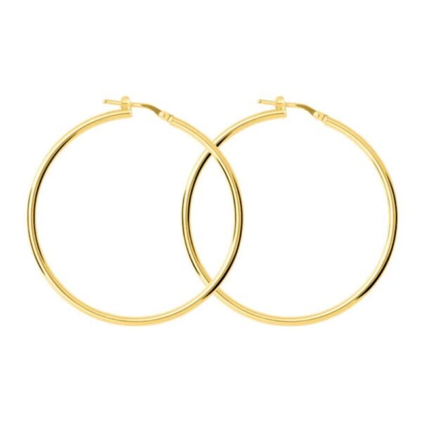 Orecchini Donna A Cerchio In Argento 925 Dorato A Canna Rotonda 2 Mm