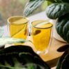 Set 6 Bicchieri Wd Lifestyle In Vetro Doppia Parete Giallo E Trasparente 1 Verre Gioielli - l'istituzione del gioiello