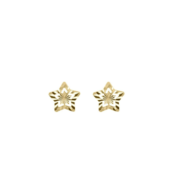 Orecchini Donna Igold In Oro Giallo 9 Kt A Stella