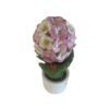 Scultura Ortensia Rosa E Bianca Gli Alberelli In Ceramica Di Capodimonte 5 - Verre Gioielli Scultura Ortensia Rosa E Bianca Gli Alberelli In Ceramica Di Capodimonte 1 Verre Gioielli - l'istituzione del gioiello