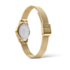 Orologio Donna Daniel Wellington Ophelia Mini In Acciaio Dorato 3 Verre Gioielli - l'istituzione del gioiello