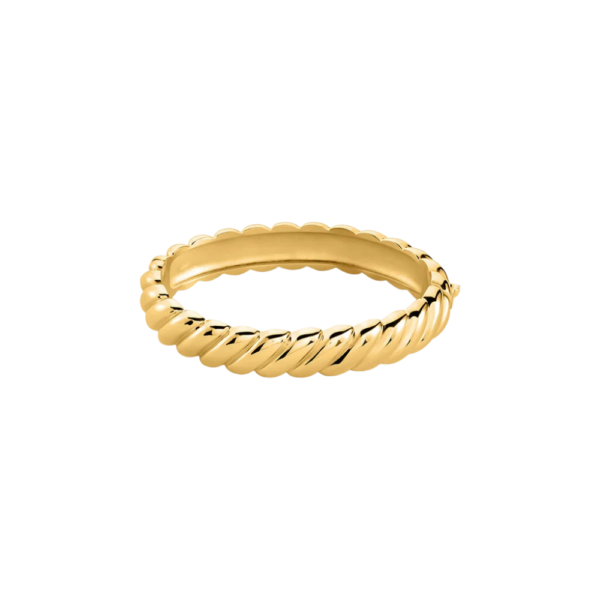 Bracciale Bangle Bracciale Bangle Rigido Donna Stroili Radiance In Acciaio Doratoonna Stroili In Acciaio Silver